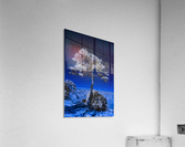 Tree of life 3 Acrylic Print