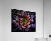 Green life Acrylic Print