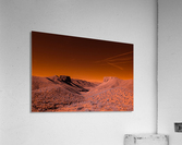 Ying Yang Acrylic Print