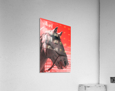 Gus Acrylic Print