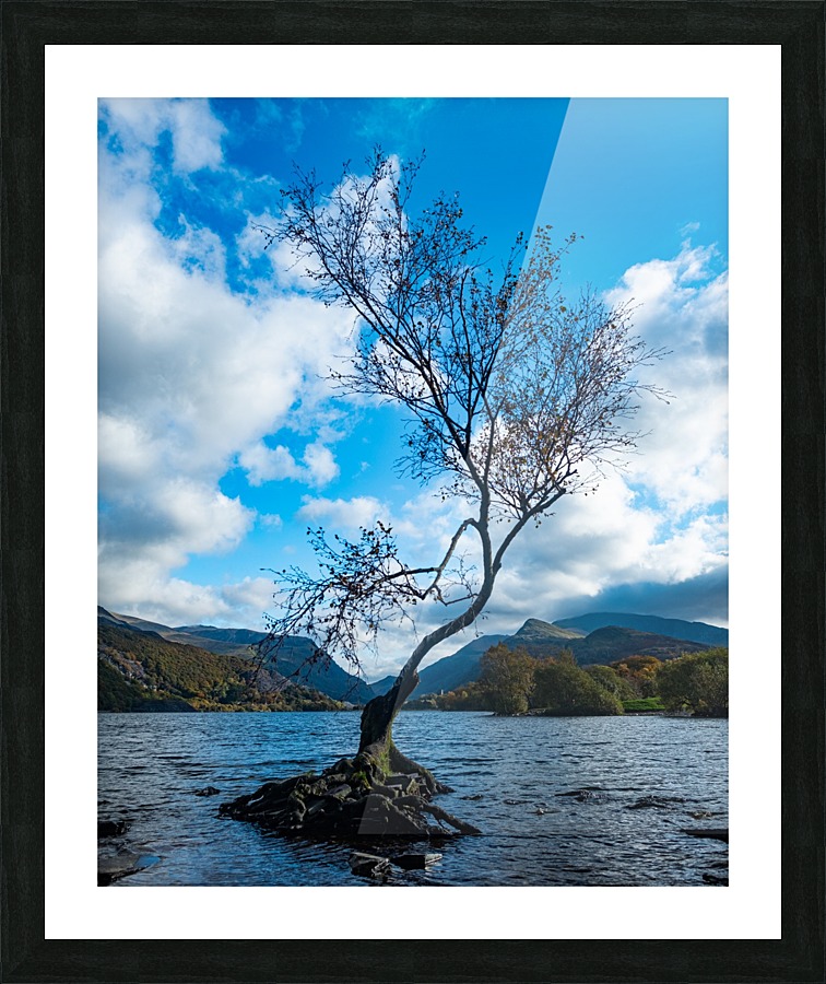 Lone tree Vert Picture Frame print