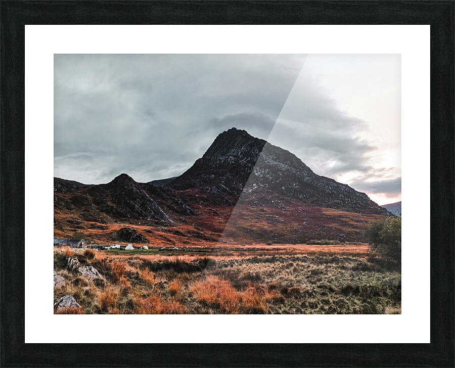 Terra Picture Frame print
