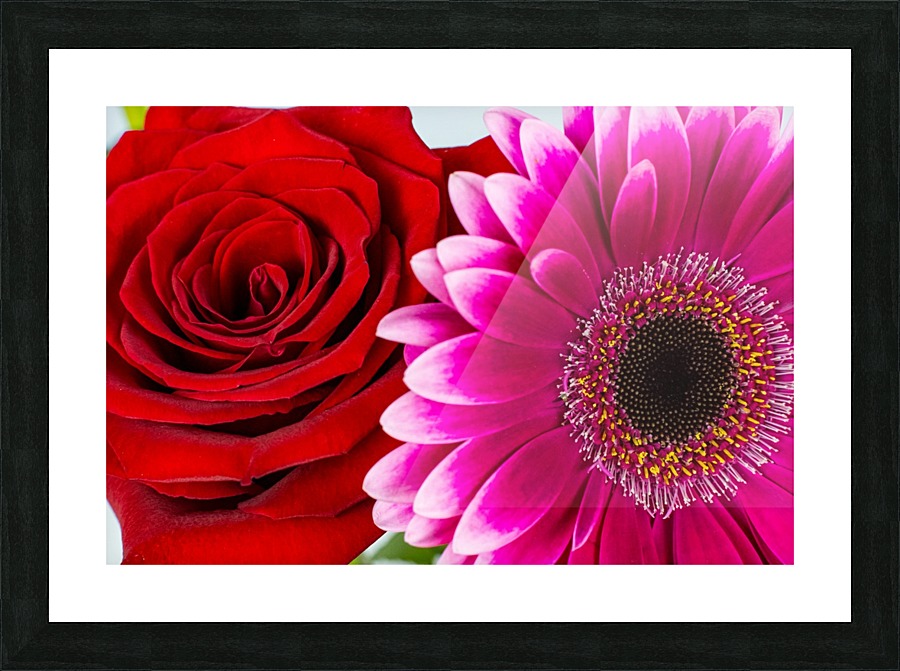 Petals Picture Frame print