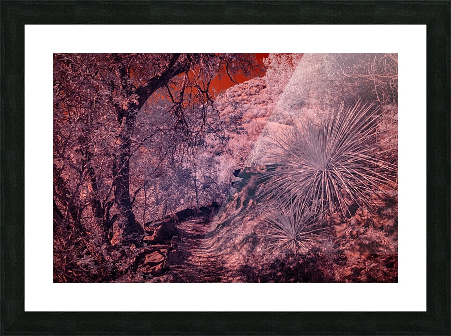 Alien Planet Picture Frame print
