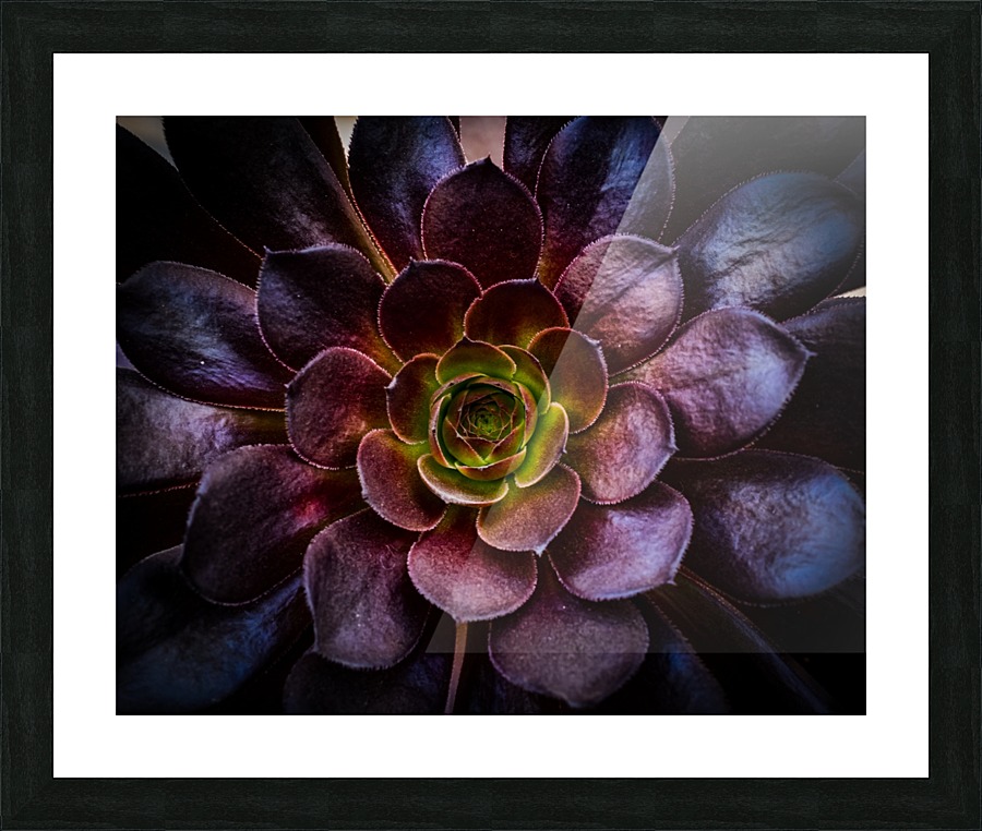Green life Picture Frame print