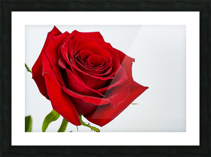 Love Picture Frame print