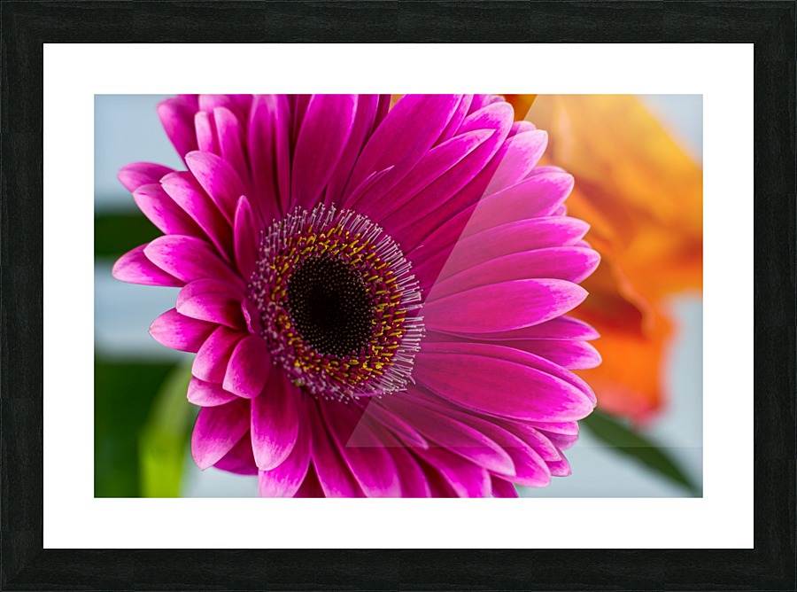 Purple Bliss Picture Frame print