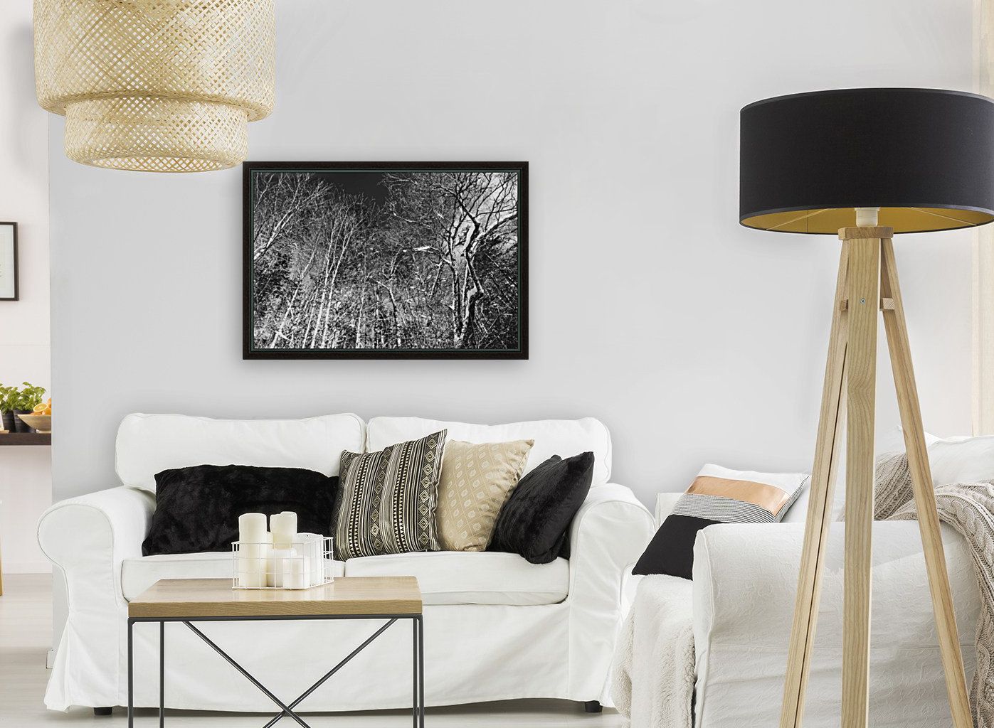 Dead trees Reproduction
