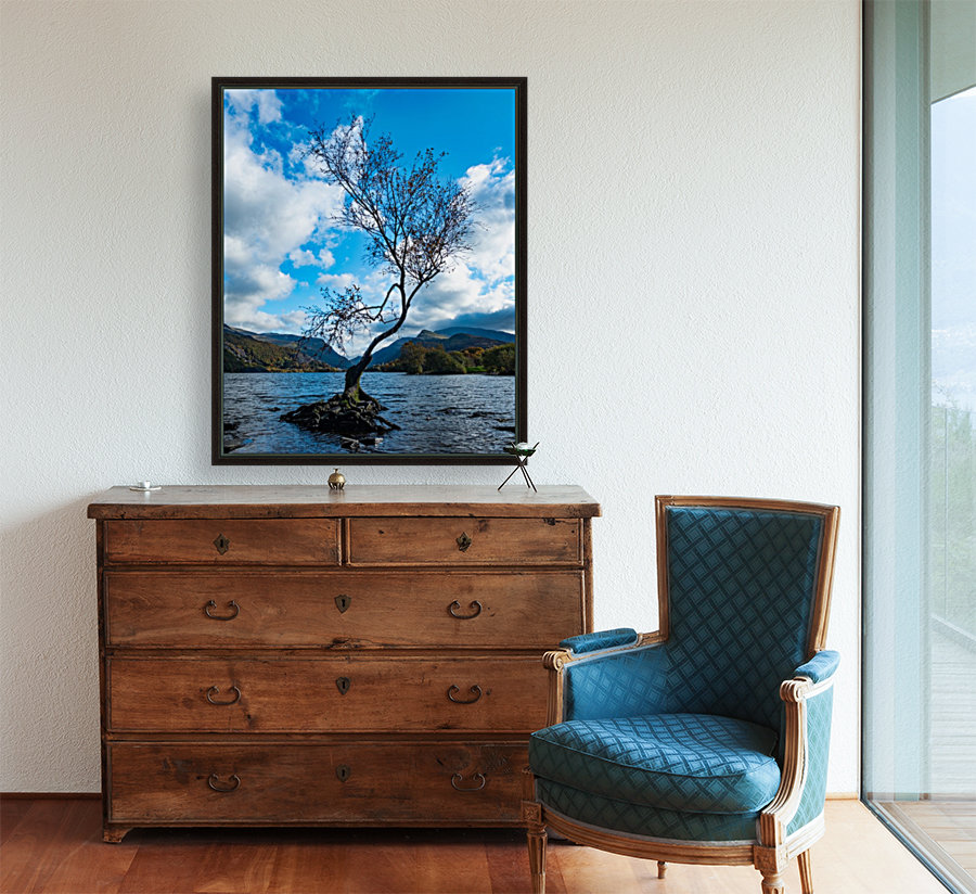 Lone tree Vert Reproduction
