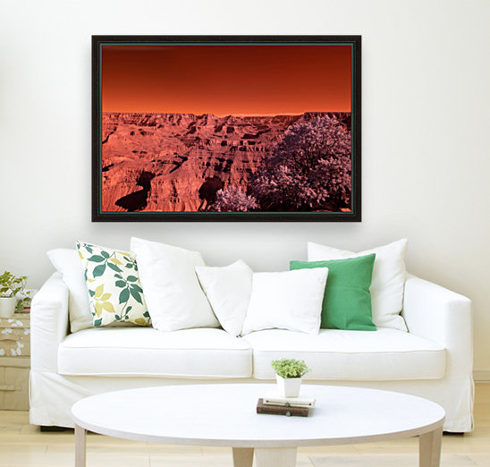 Mars Reproduction