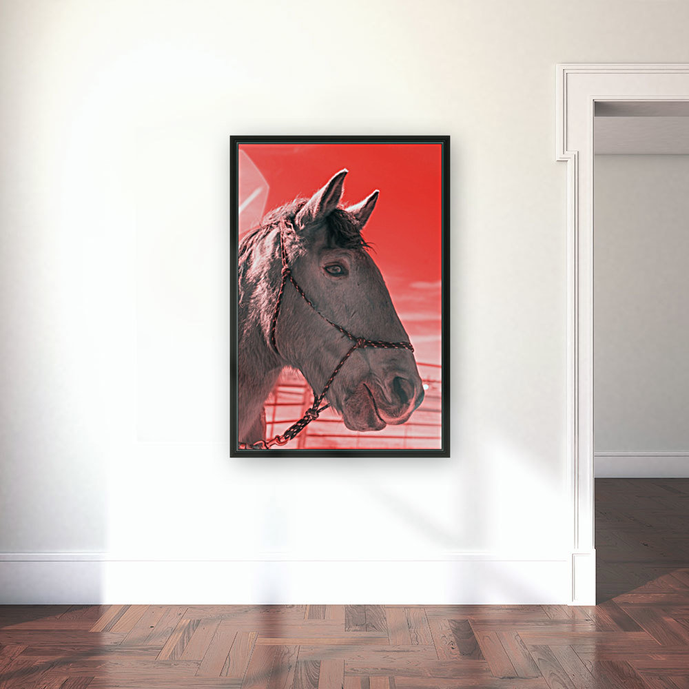 Gus Reproduction
