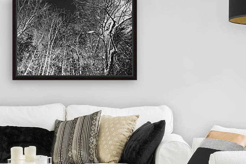 Dead trees Reproduction