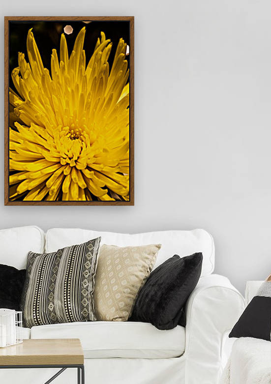 Yellow bliss Reproduction