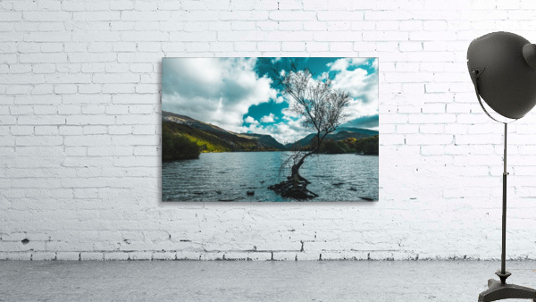 Lone tree Wall Preview