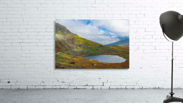 Natures pool Wall Preview