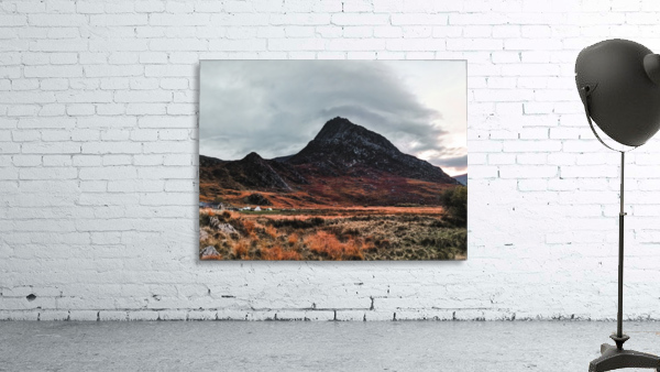Terra Wall Preview