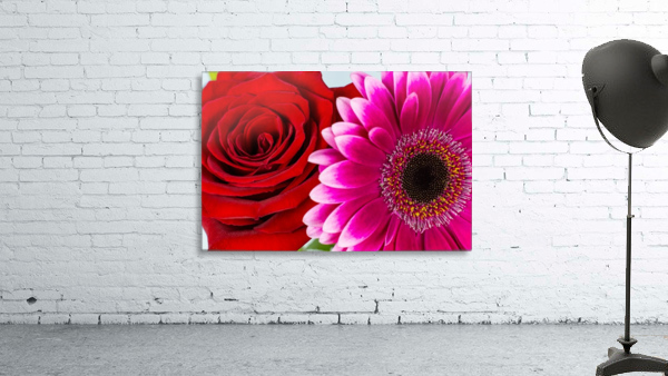 Petals Wall Preview