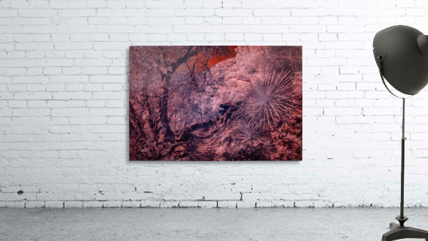 Alien Planet Wall Preview