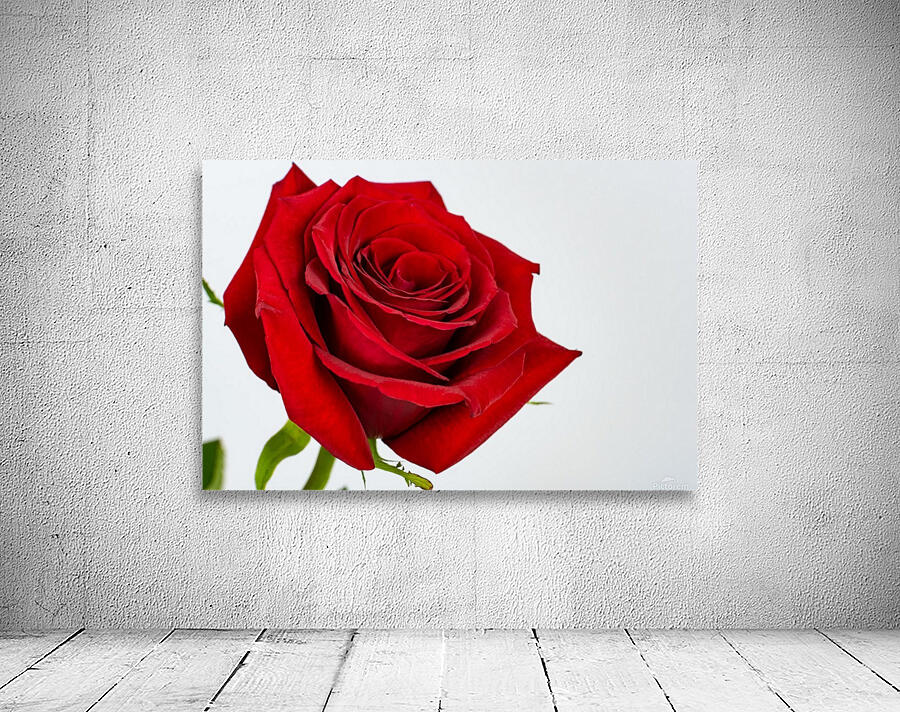 Love Wall Preview