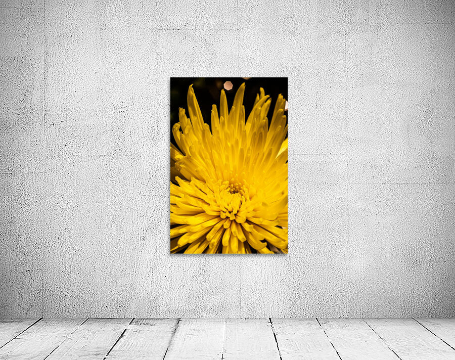Yellow bliss Wall Preview