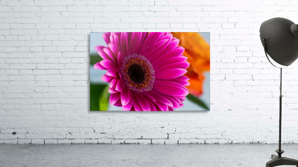Purple Bliss Wall Preview