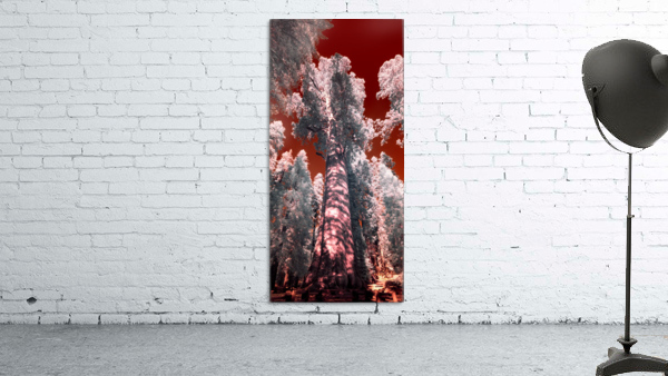 Sherman Wall Preview