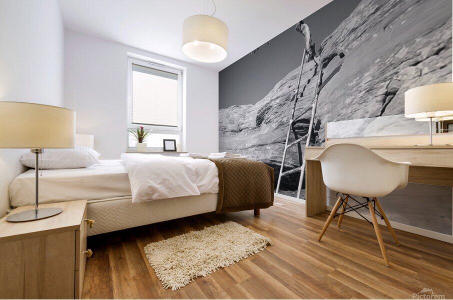 The Climb Mural print