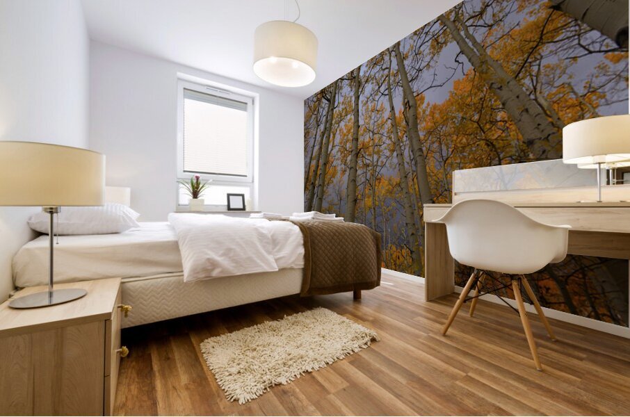 Golden Canopy Mural print