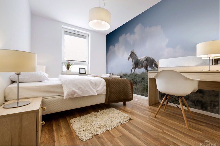 Freedom in the Clouds Mural print