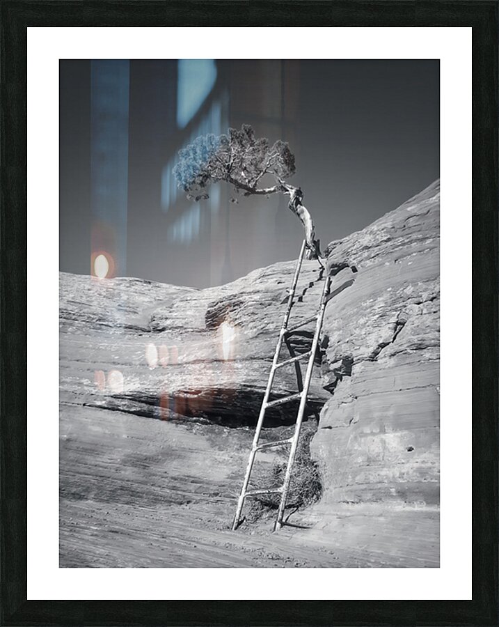 The Climb Picture Frame print