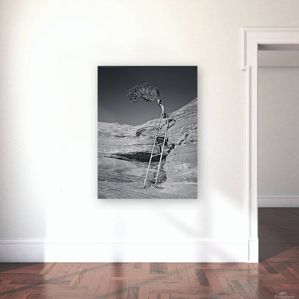 The Climb Reproduction