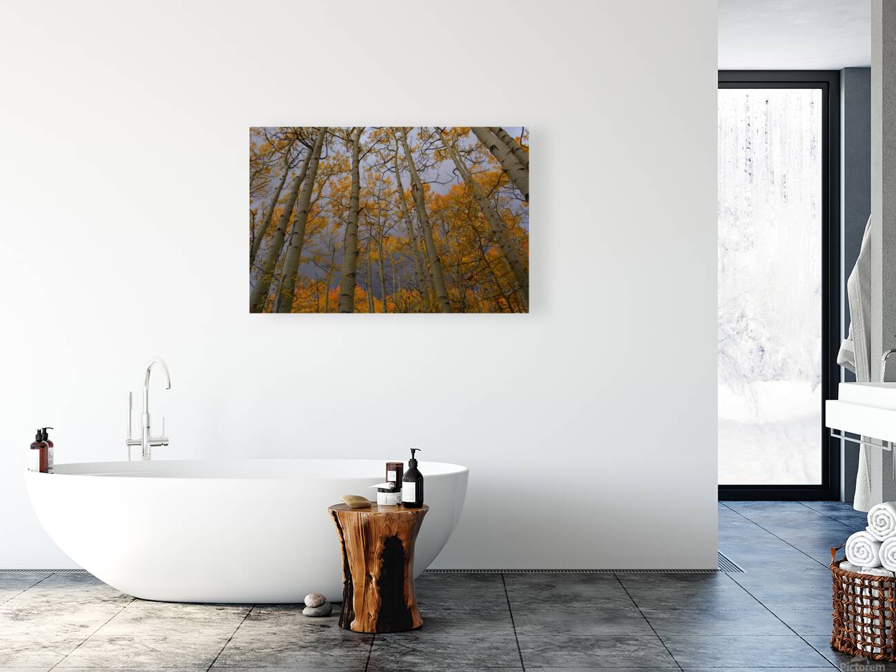 Golden Canopy Reproduction