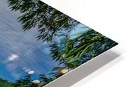 Heartland Banner HD Metal print