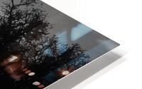 Evening Watch HD Metal print
