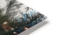 Desert Travelers HD Metal print