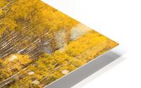 A Path Through Gold HD Metal print