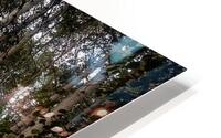 Into the Aspens HD Metal print