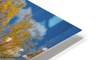 Back When Time Was Slow HD Metal print