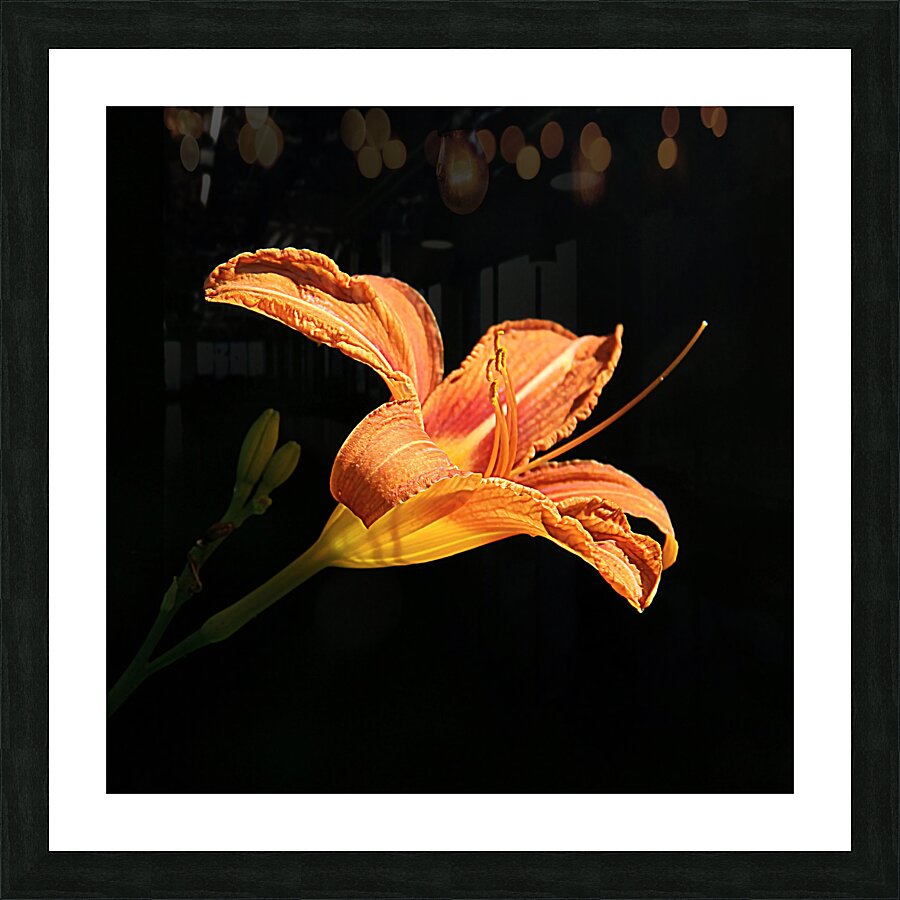 IMG 0846 sq upscayl 4x ultrasharp 4x Picture Frame print