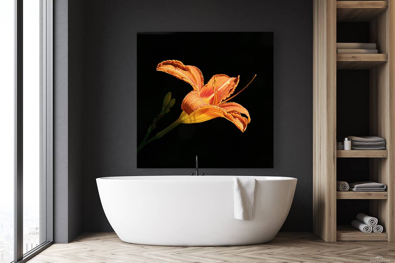 IMG 0846 sq upscayl 4x ultrasharp 4x Reproduction