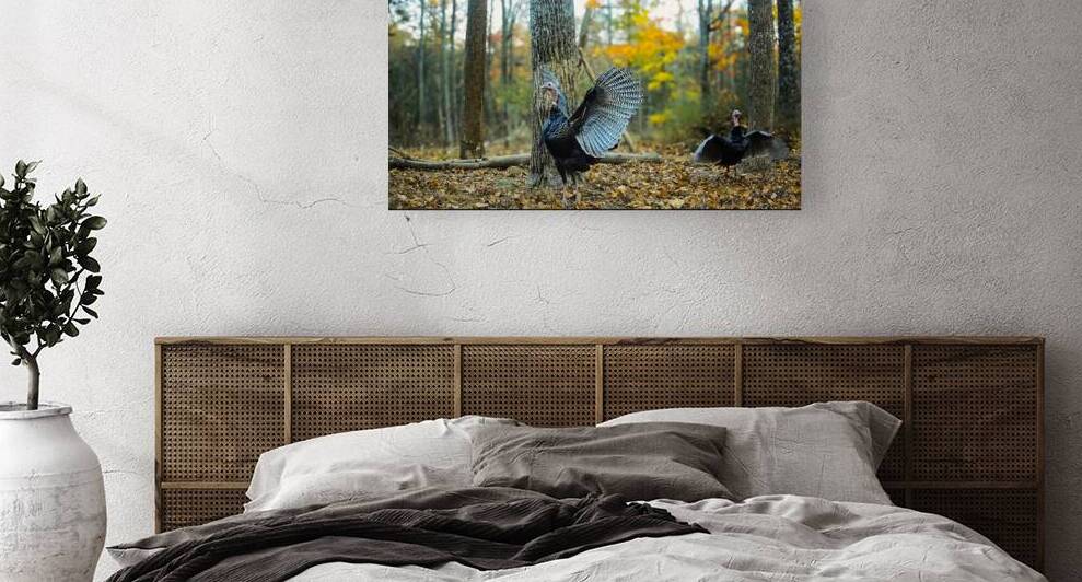 Flapping Turkey 5 crop upscayl 4x realesrgan x4fa by Stephen Peach