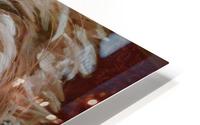 Leos.Fondness HD Metal print
