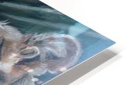 Leos. Tenderness. HD Metal print
