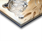 03180 - Leopard Portrait Acrylic print