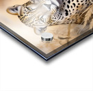 Leopard Portrait - 02539 SA1a Acrylic print