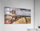Lincoln Cathedral Cityscape - DSF8281 Acrylic Print