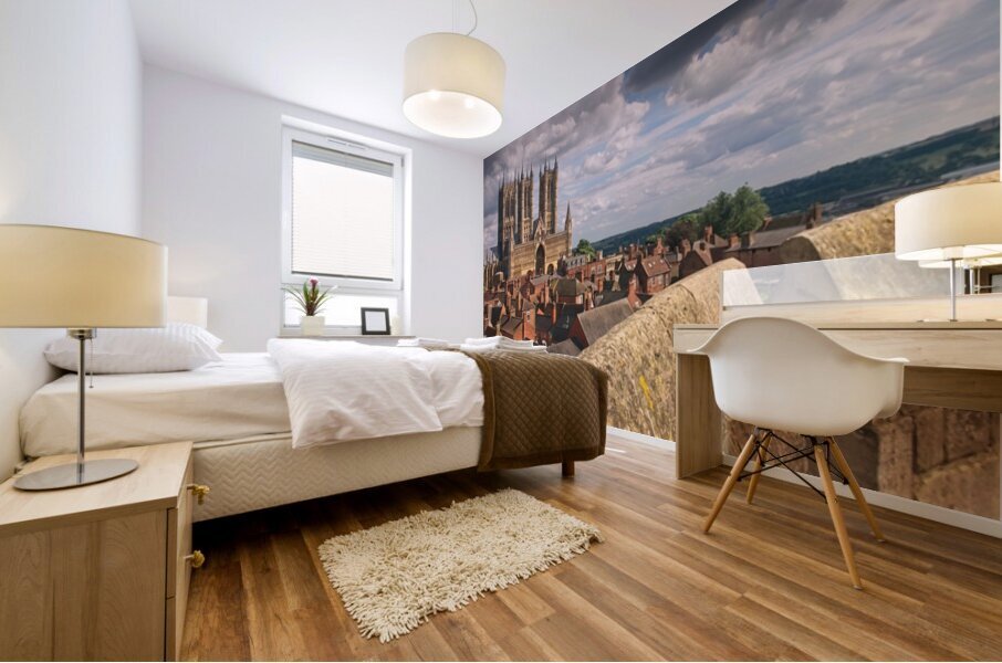 Lincoln Cathedral Cityscape - DSF8281 Mural print