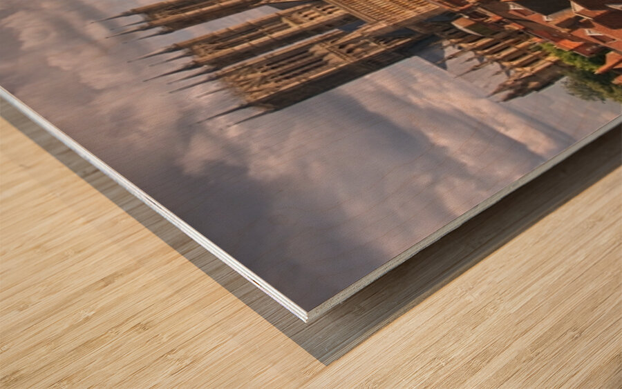 Lincoln Cathedral Cityscape - DSF8281 Wood print