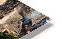 A21 HD Metal print