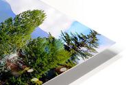 A26 HD Metal print